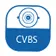 videopark network camera cvbs output